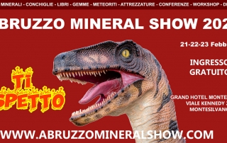 Abruzzo Mineral Show 2020