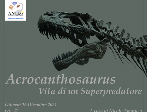 Conferenza “Acrocanthosaurus, vita di un superpredatore”